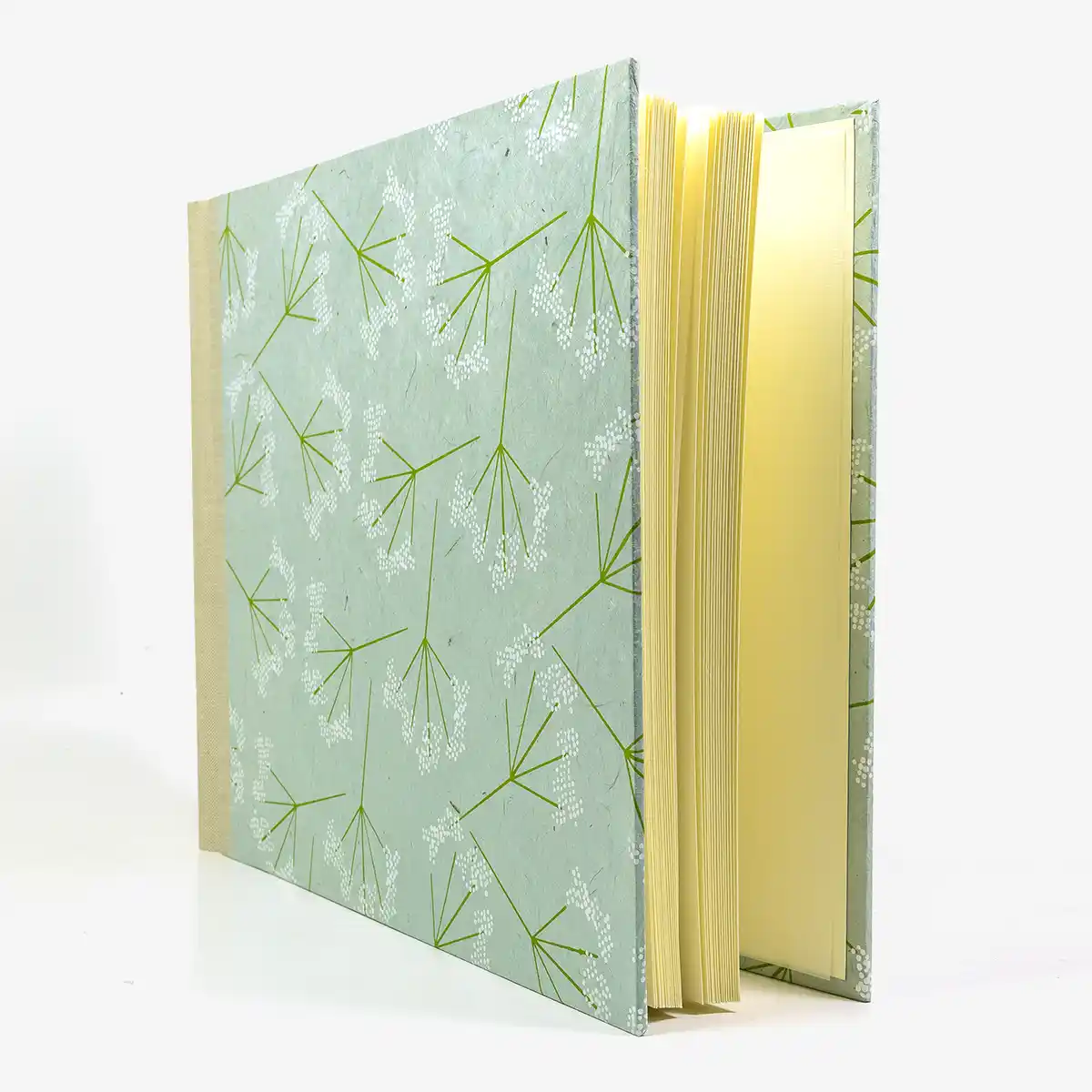Fotoalbum | H24xB30cm | 60 cremefarbene Seiten | Cover: Lokta Papier | Motiv: Schachtelhalm – Bild 3