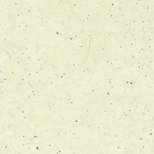 Japan Papier / Susa Iri / Ivory