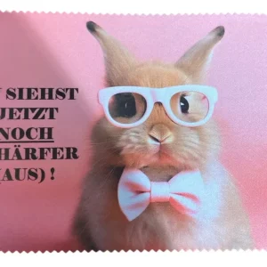 Microfasertuch Brille