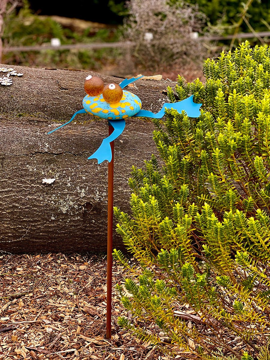 Hopkins – Glasfrosch für Garten und Teich – Bild 5