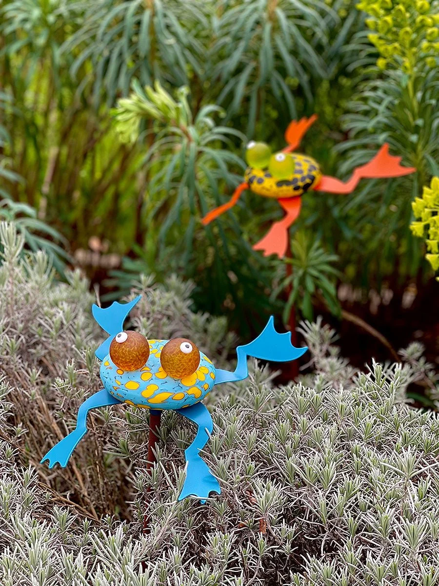 Hopkins – Glasfrosch für Garten und Teich – Bild 9