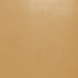 Varcona - camel